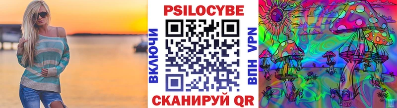 Псилоцибиновые грибы Psilocybine cubensis Славск